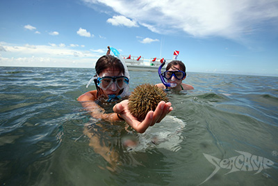 Camper examining a sea urchin while snorkeling Seacamp