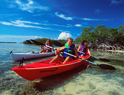 Kayaking through mangroves in the Florida Keys at Seacamp