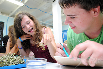 Camper examining a juvenile lobster during a lab at Seacamp