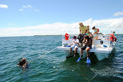 Campers entering water before a dive at Seacamp