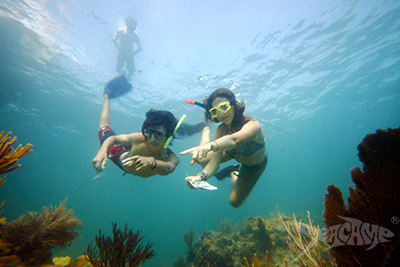 Seacampers snorkeling at Looe Key